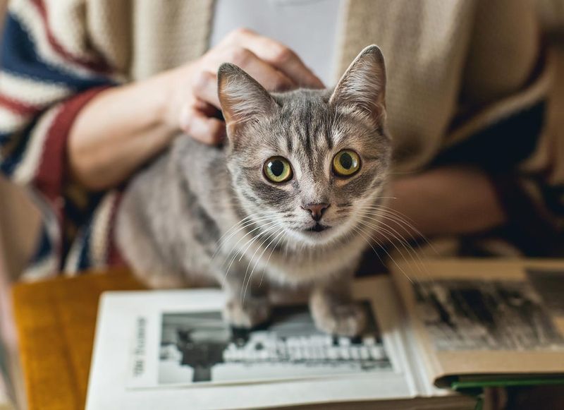 Preserving Memories Online