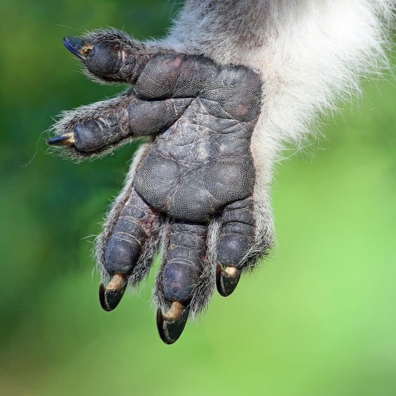 Unique Fingerprints