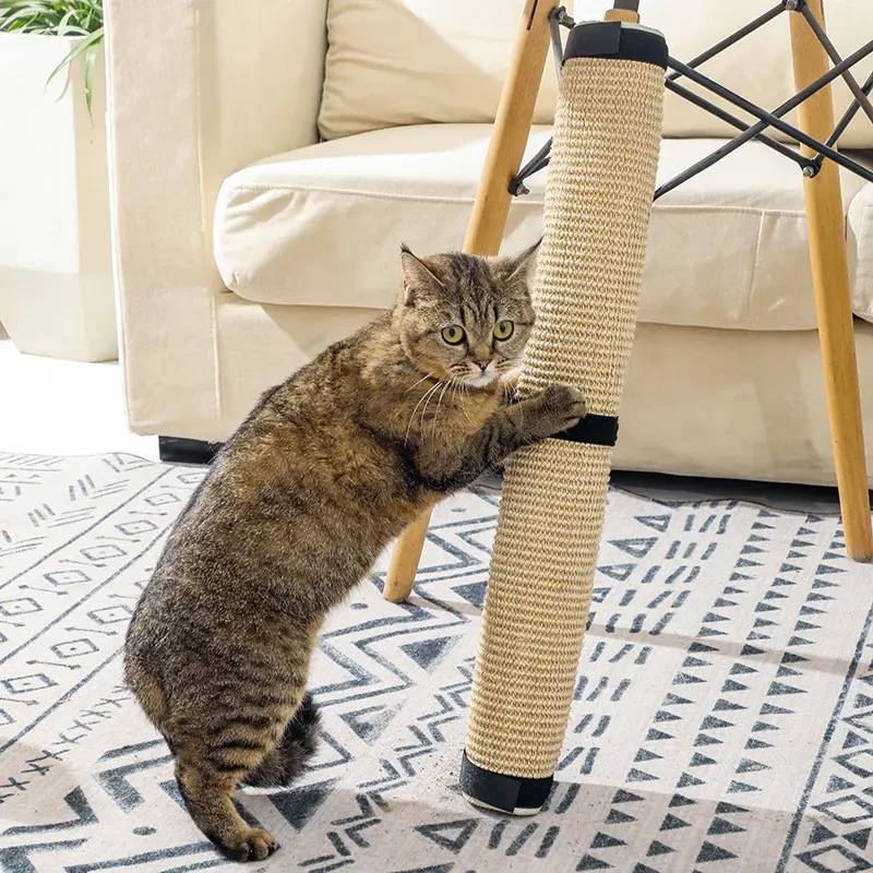 Not Providing Enough Scratching Posts