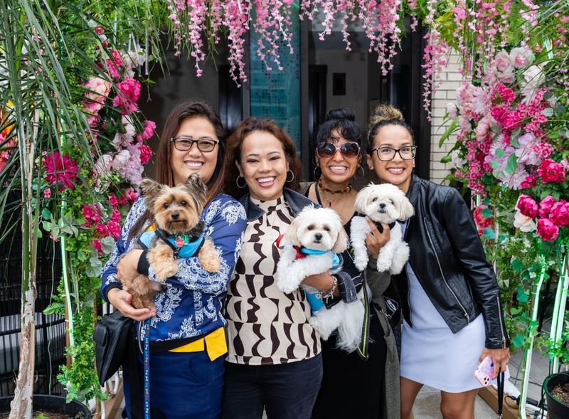 Pet-Friendly Social Gatherings