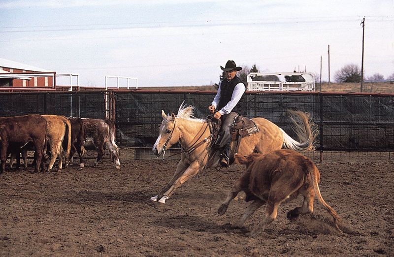 Rich Western Heritage Connection