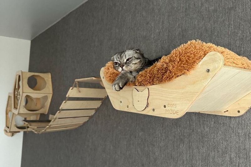 Compact Living
