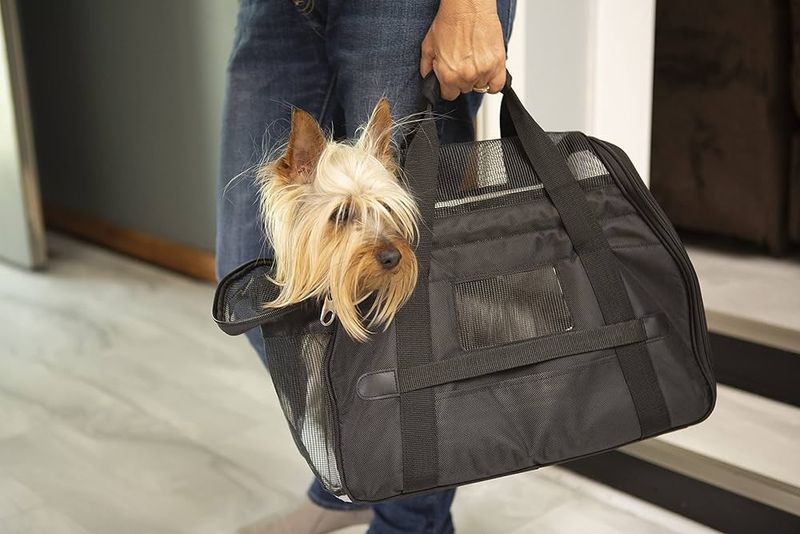 Travel-Friendly Size