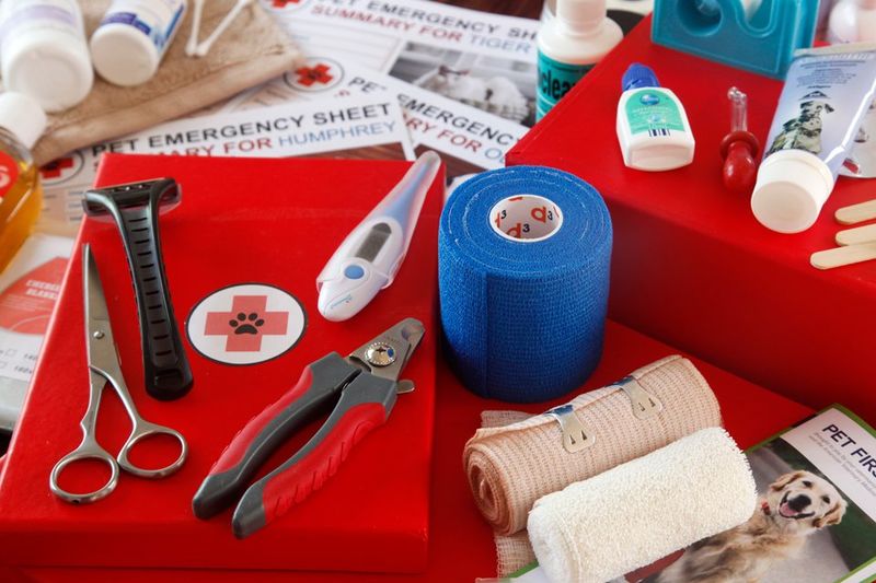 Have Emergency Supplies Ready