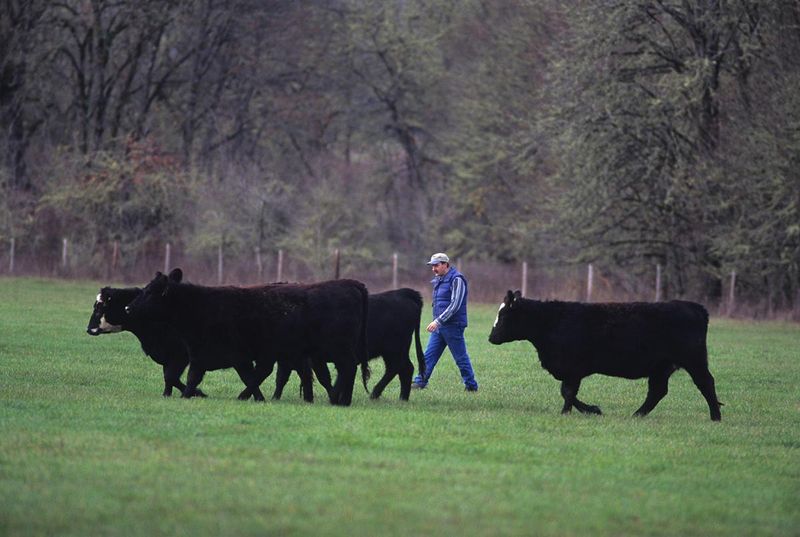 Growing Your Operation Sustainably