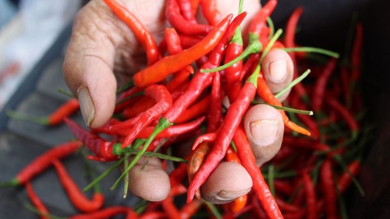 Chili Peppers