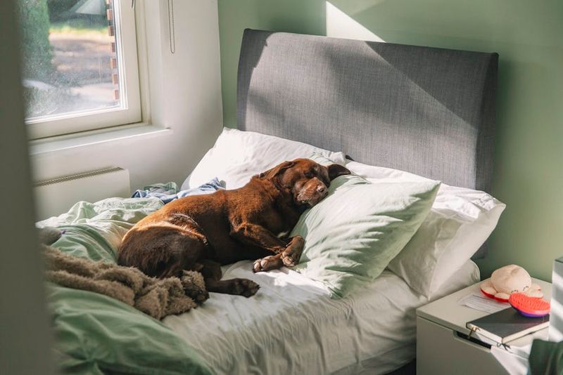 Disrupted Sleep From Movement