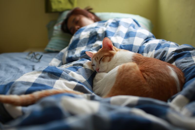 Warmth Of Your Bed