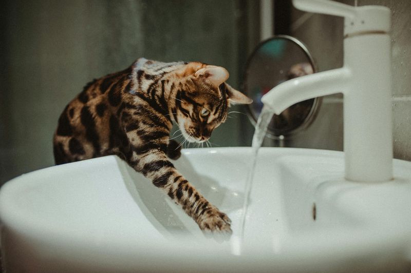 Playing With Water