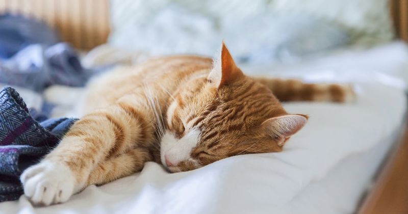 Ensure Comfortable Temperatures