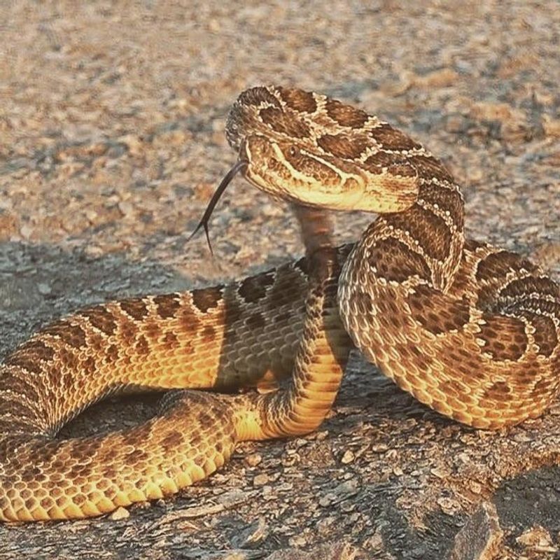 Oklahoma