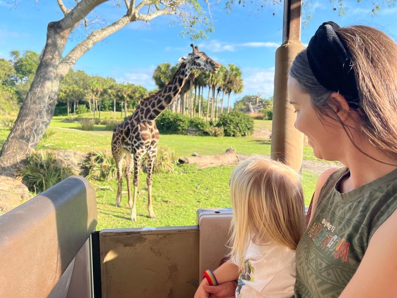 Disney's Animal Kingdom