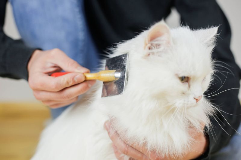 Improper Grooming