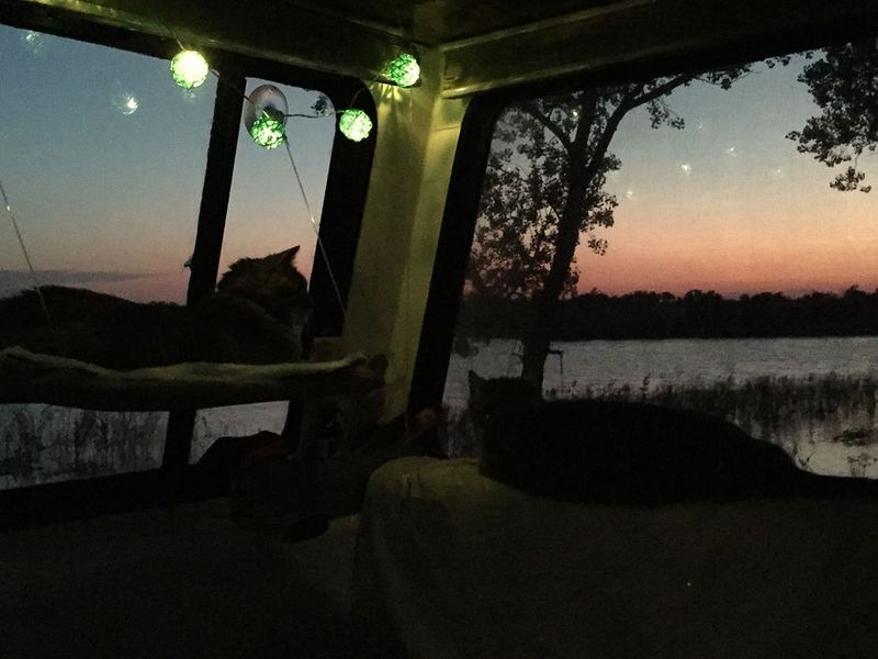 The Midnight Roamer