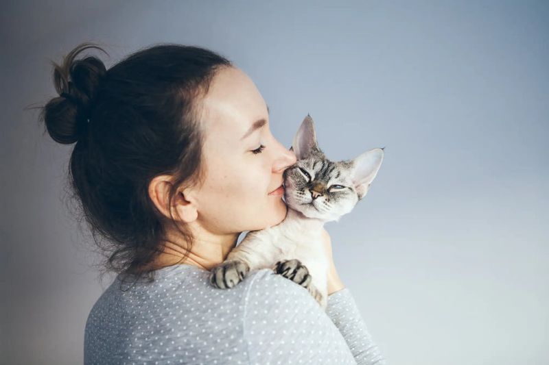 Devon Rex: Emotional Wellness Elves