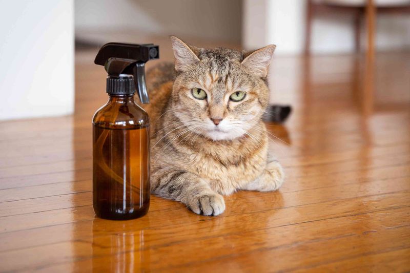 Natural Pest Control