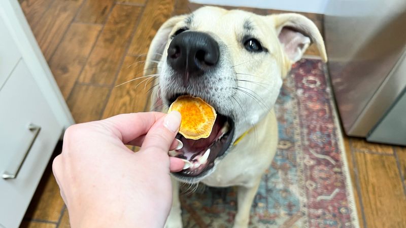 Sweet Potatoes