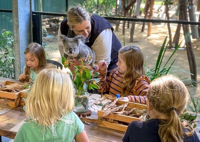 Educational Programs In Schools