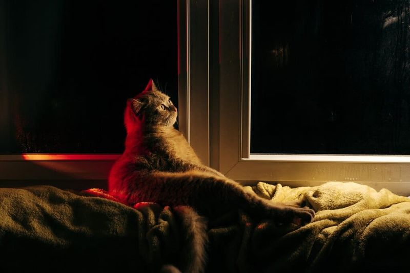 Territorial Patrols
