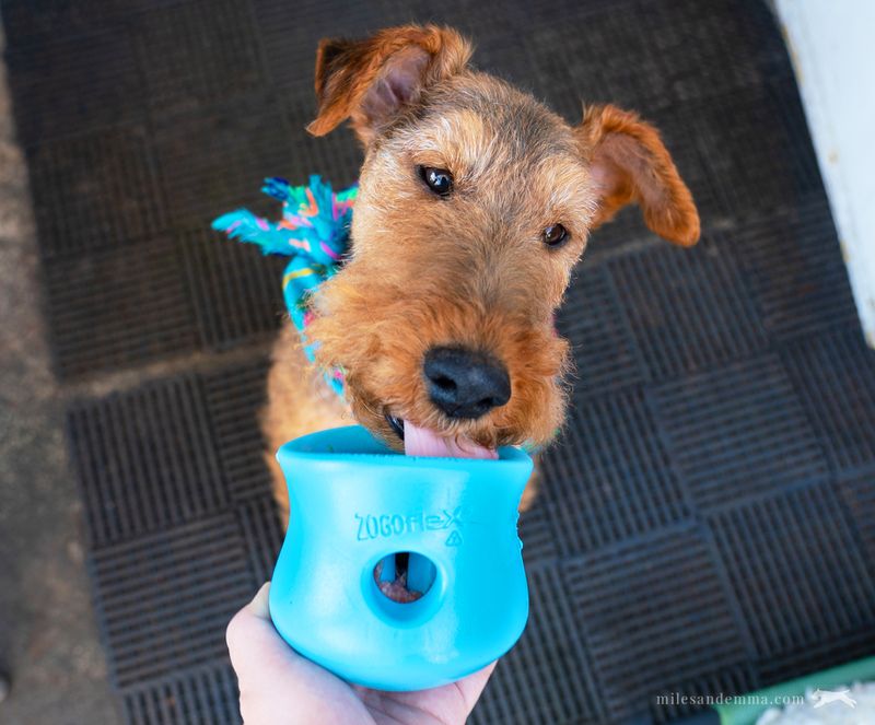 Provide A Mealtime Distraction