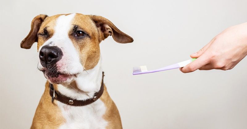 Use A Toothbrush For Detailed Cleaning