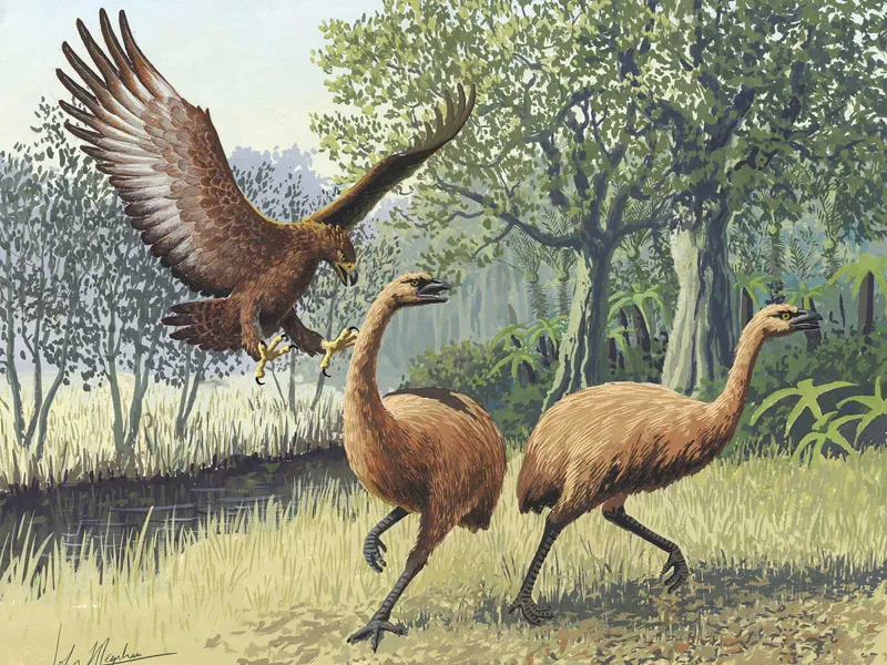 North America's Aerial Terror