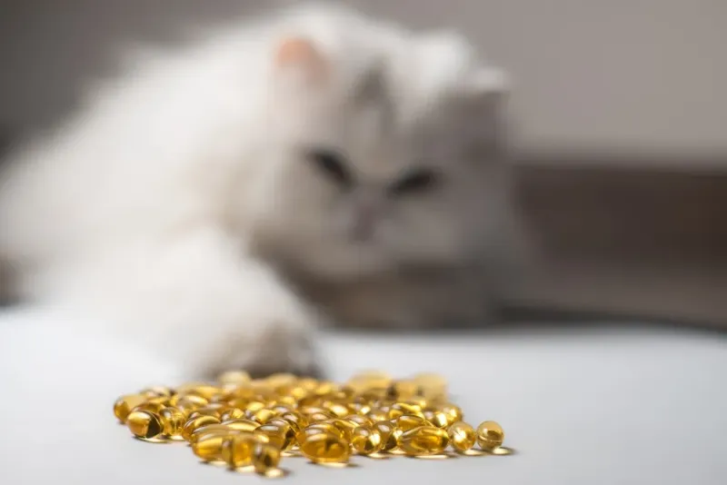 Omega-3 Supplements For Extra Luster