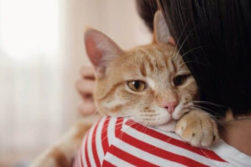 Comfort And Warmth