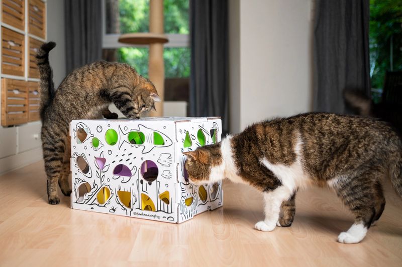 Interactive Toys