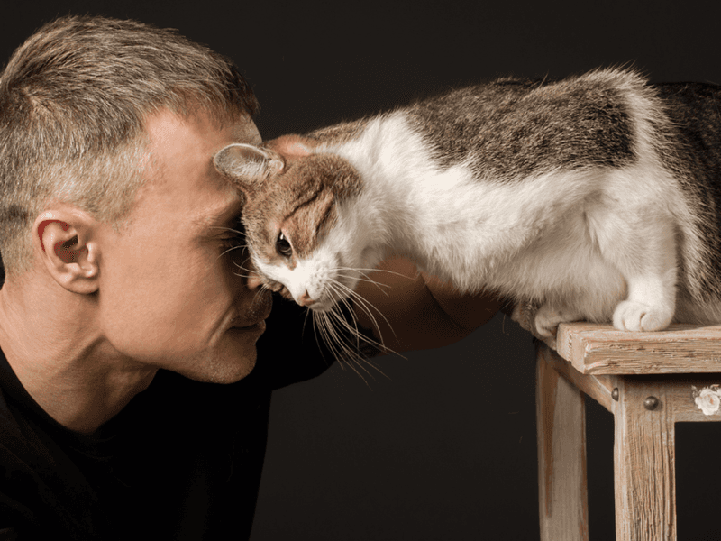 Head Butts