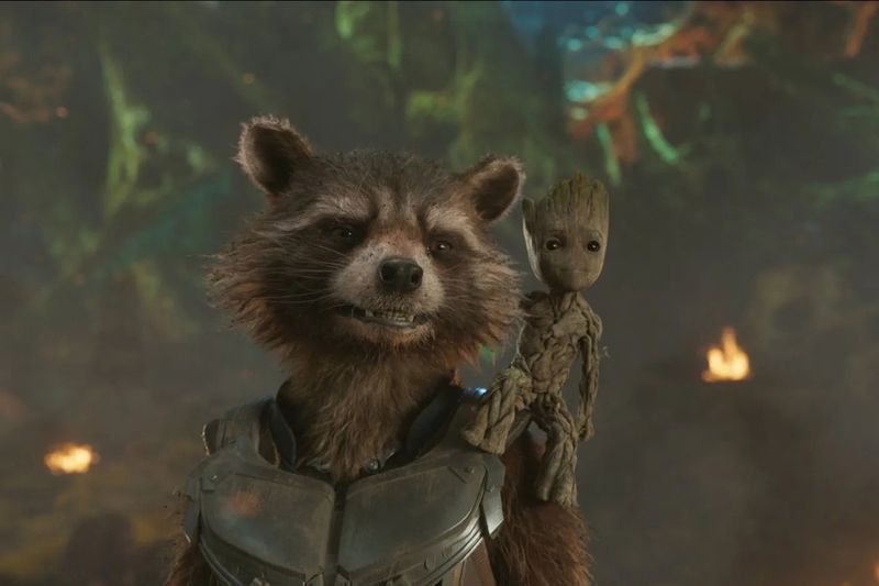 Raccoons In Culture