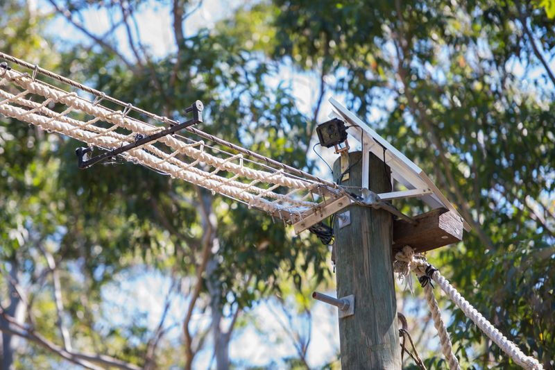 Community-Led Koala Crossings