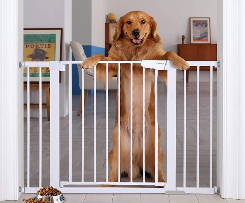 Use A Baby Gate Or Barrier