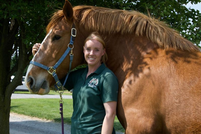 Bigger Horses Are More Dangerous