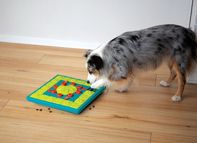 Puzzle Toys
