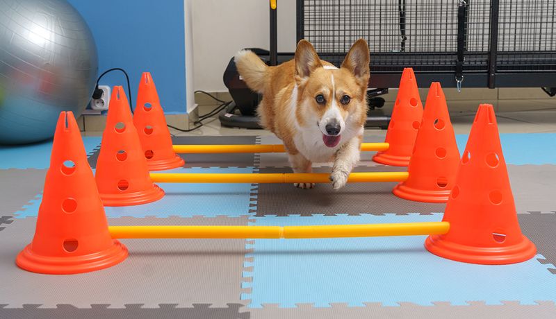 Training Sessions