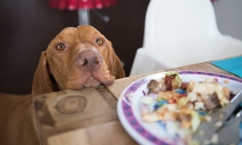 Locating Food