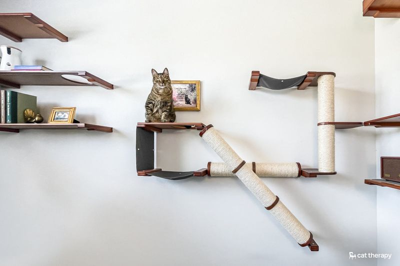 Create A Kitty Escape Route