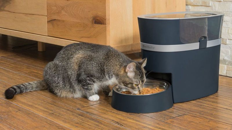 Automatic Feeders