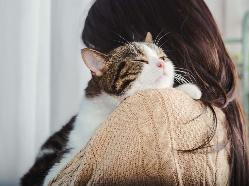 Increased Affection