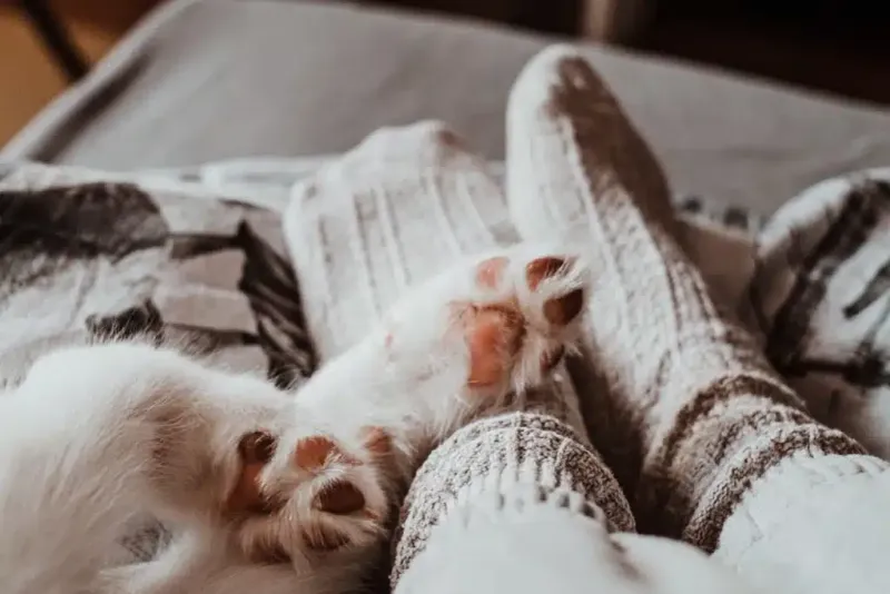 Bonding Time