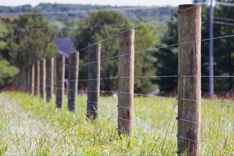 Setting Up Proper Fencing