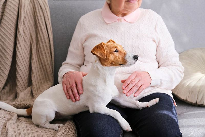Emotional Support