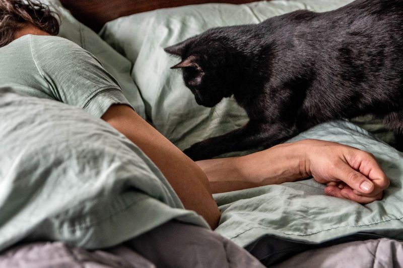 Ignore Attention-Seeking Behavior