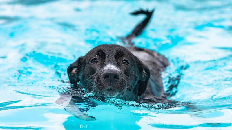 Choose Calm Water
