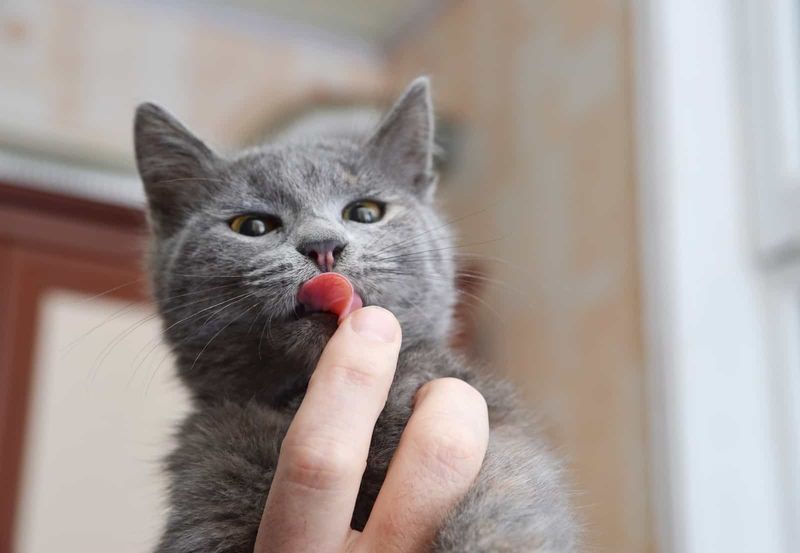 Grooming You