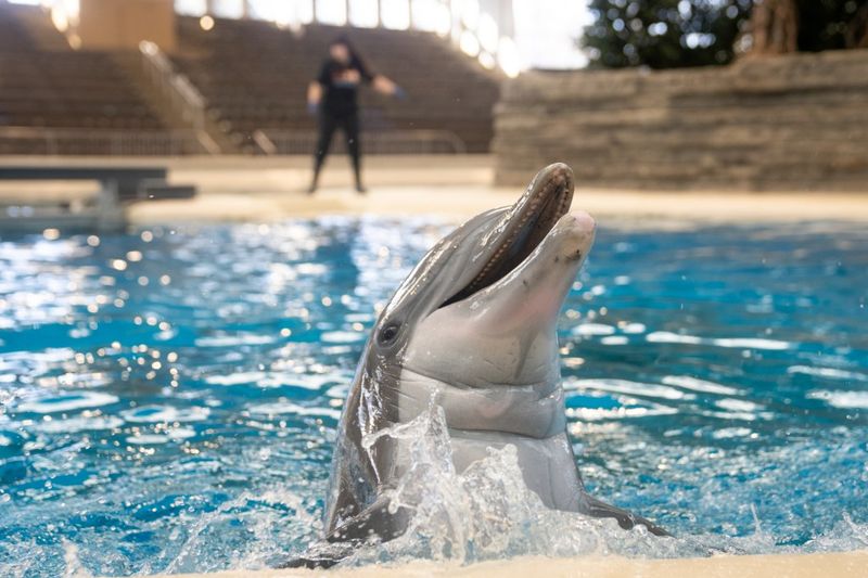 Brookfield Zoo