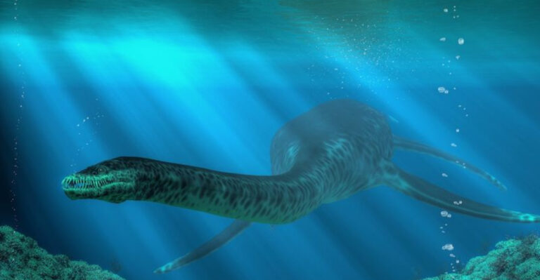 Soft-Tissue Fossil Reveals 15 Fascinating Facts About The Plesiosaurs