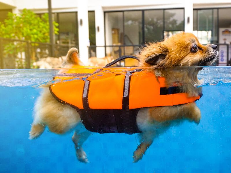 Use A Life Jacket