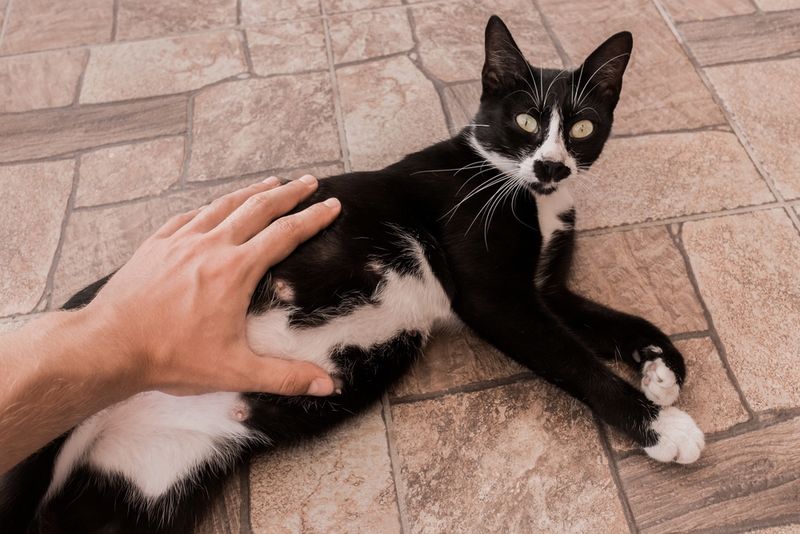 Belly Touches Feel Invasive